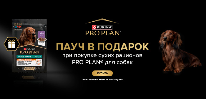 Подарок! При покупке любого сухого корма Pro Plan для собак